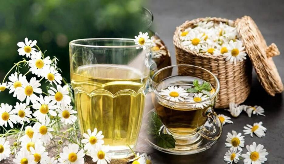 decoction of chamomile for pests