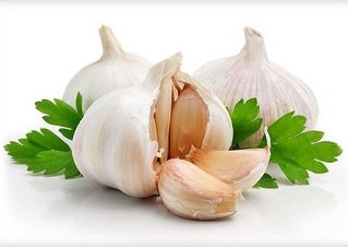 The purification of the garlic